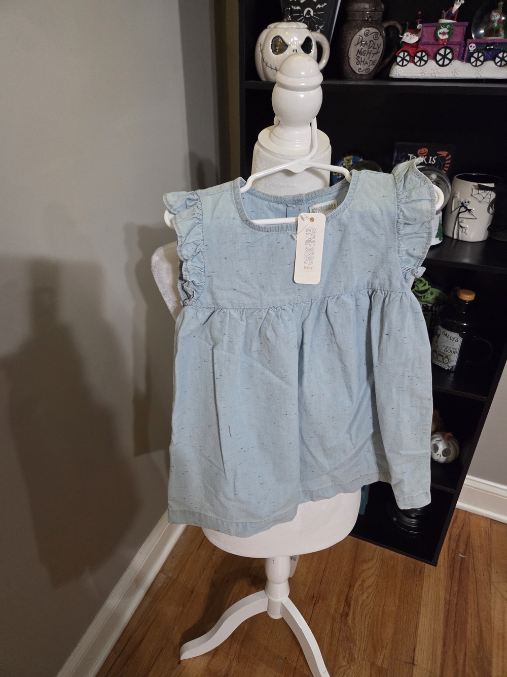 Gymboree Light Blue Ruffle Sleeve Dress With Rainbow Specs
